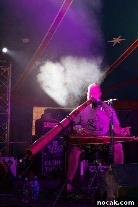 Rock Oyster Festival 2017