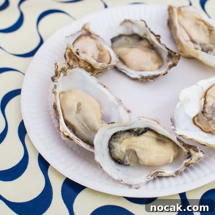 Rock Oyster Festival 2017