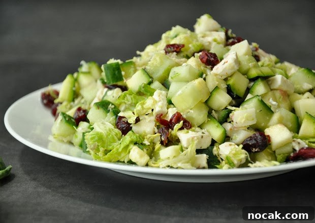 Cranberry and Feta Shredded Brussels Sprout Salad 3 Shredded Brussels Sprout Salad Recipe