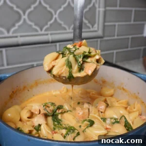 Marry Me Chicken Soup Recipe for Cozy Weeknight Dinners 10 Easy Marry Me Chicken Soup on a ladle.
