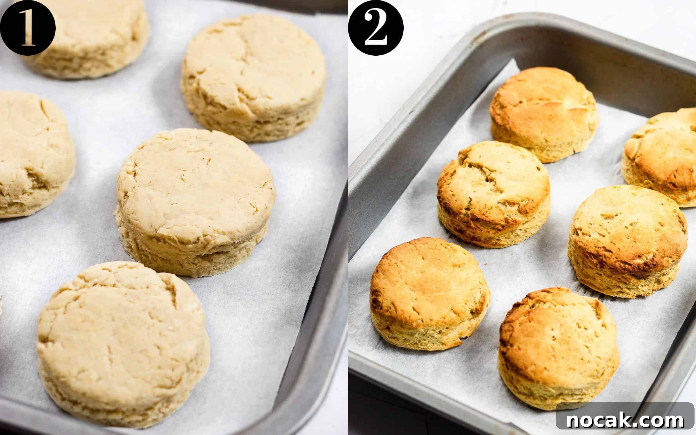 4-Ingredient Protein Scones Made Without Butter 7 Protein Scones before and after baking.