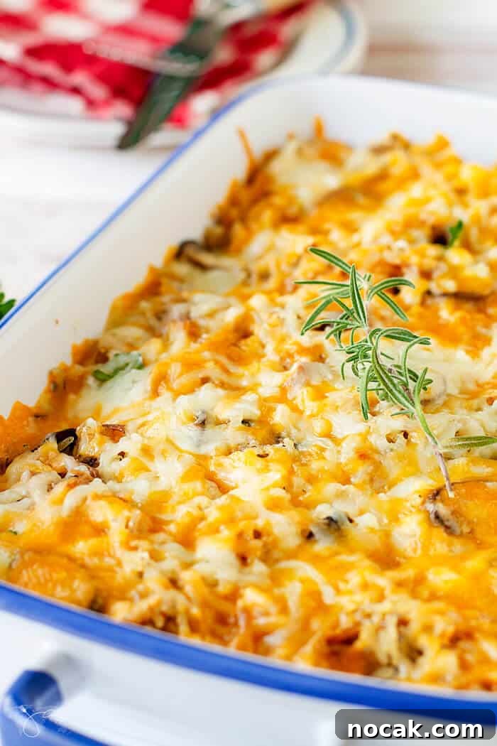 Cheesy Turkey Casserole Recipe for Leftovers | Jas' Kickasserole 3 An angle shot of the freshly baked cheesy casserole