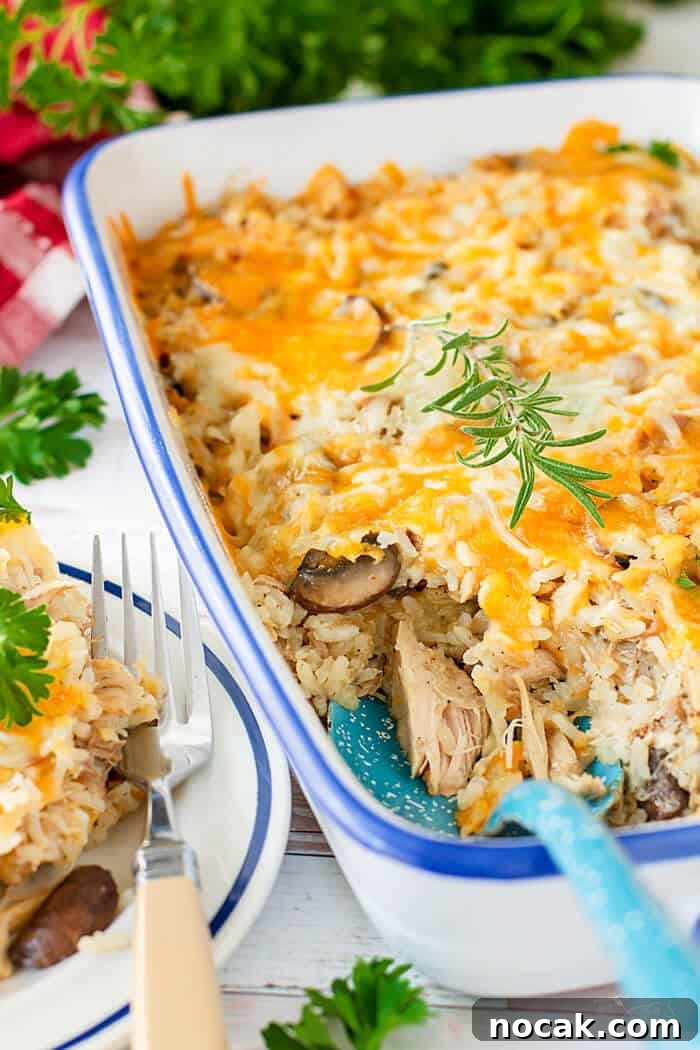 Cheesy Turkey Casserole Recipe for Leftovers | Jas' Kickasserole 5 A white casserole dish with cheesy rice and turkey meat with a serving spoon