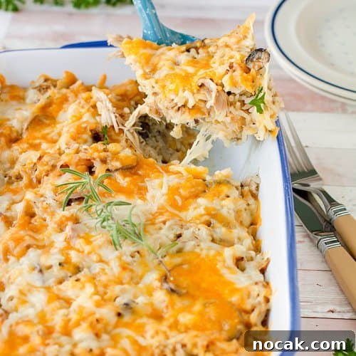 Cheesy Turkey Casserole Recipe for Leftovers | Jas' Kickasserole 6 A photo of the turkey casserole dish being served