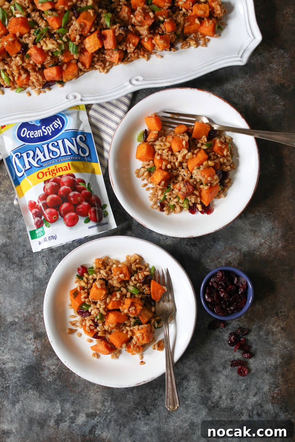 Autumn Farro Salad with Roasted Butternut, Walnuts & Cranberries 6 img 18962 11