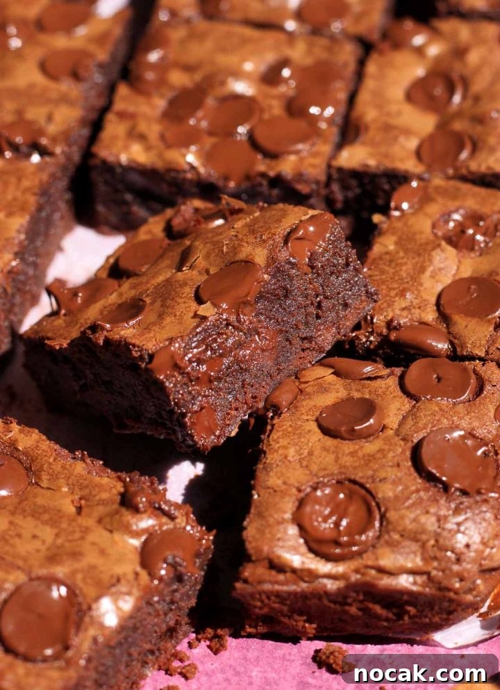 Fudgy Low-Sugar Brownies: Simple Recipe for Rich Chocolate Treats 9 low sugar brownies