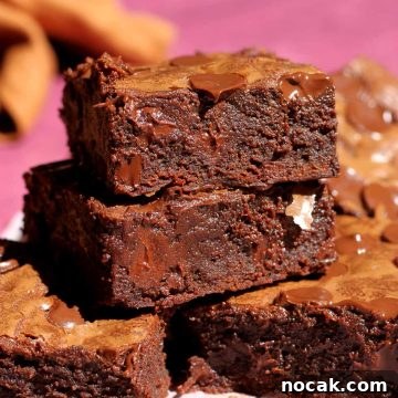 Fudgy Low-Sugar Brownies: Simple Recipe for Rich Chocolate Treats 10 low sugar brownies