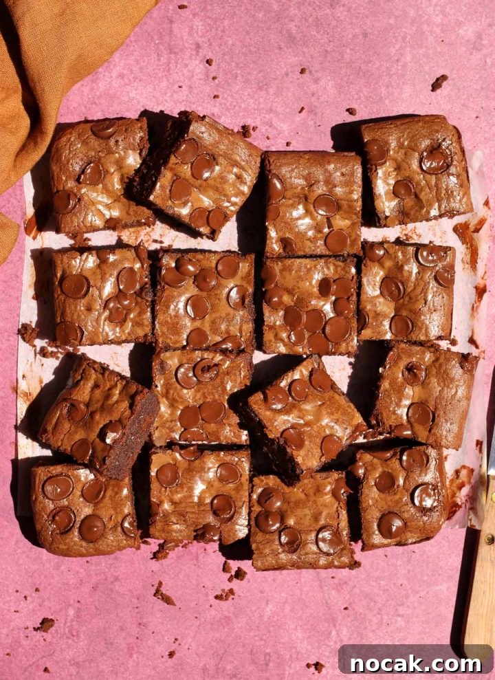 Fudgy Low-Sugar Brownies: Simple Recipe for Rich Chocolate Treats 3 sliced low sugar brownies