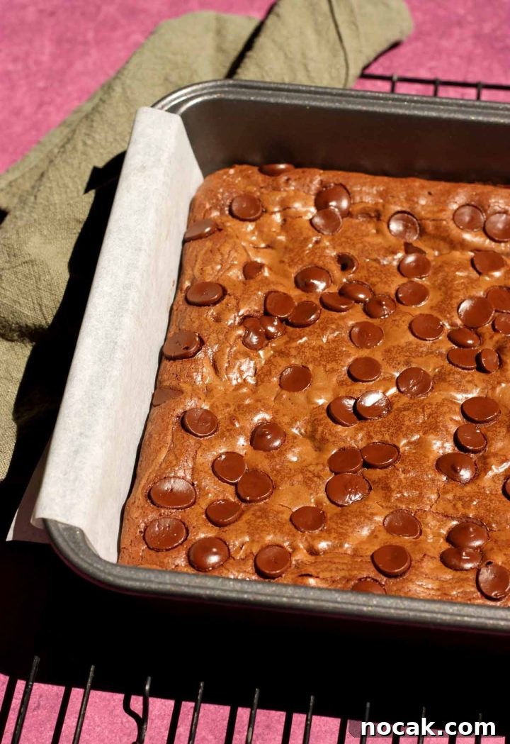 Fudgy Low-Sugar Brownies: Simple Recipe for Rich Chocolate Treats 7 low sugar brownies in pan