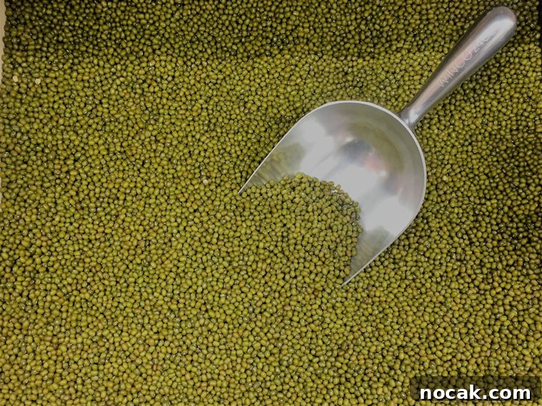 How Pressure Cookers Work: Science, Benefits, and Tips 4 mung beans