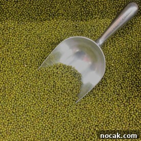 How Pressure Cookers Work: Science, Benefits, and Tips 5 mung beans