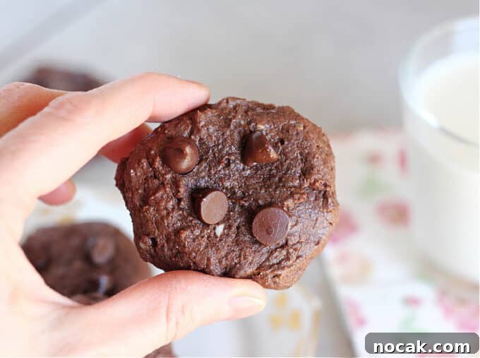 Fudgy Dark Chocolate Cookies — Nut Free Recipe 11 Hand holding a dark chocolate chip cookie.