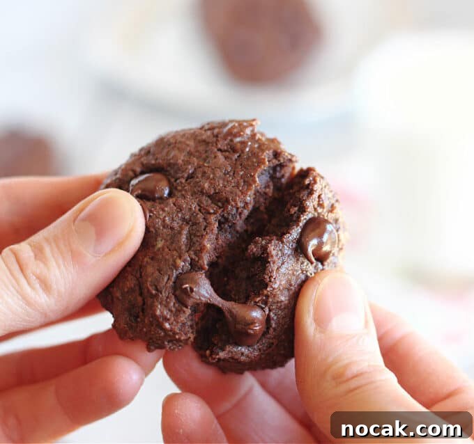 Fudgy Dark Chocolate Cookies — Nut Free Recipe 12 Two hands opening a chocolate cookie.