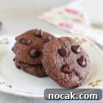 Fudgy Dark Chocolate Cookies — Nut Free Recipe 13 Three double chocolate cookies on a white plate.