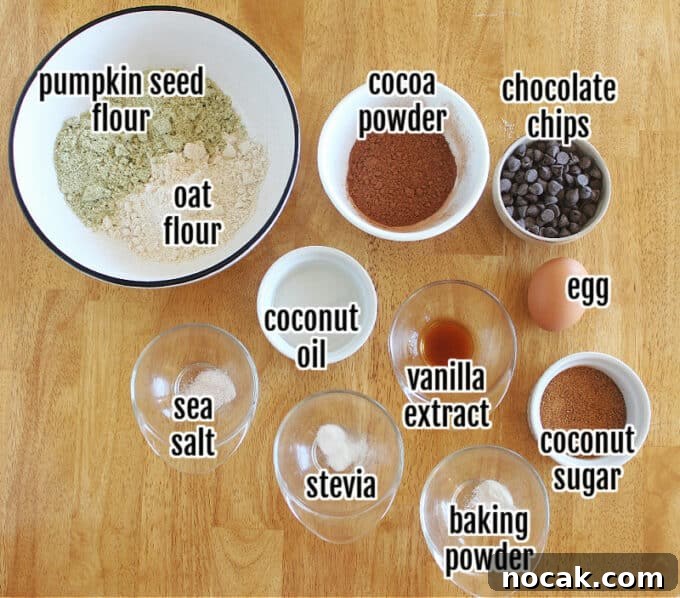 Fudgy Dark Chocolate Cookies — Nut Free Recipe 3 Ingredients laid out on a table, including oat flour and chocolate chips.