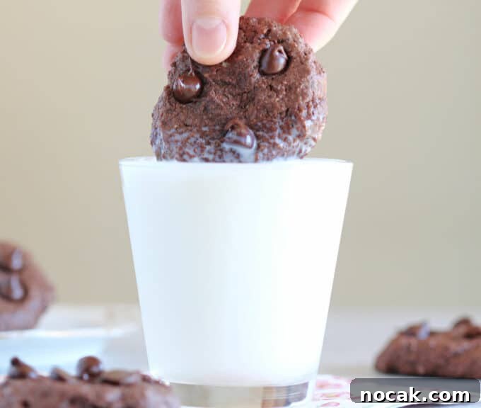 Fudgy Dark Chocolate Cookies — Nut Free Recipe 10 Dark chocolate cookie being dipped into a glass of milk.