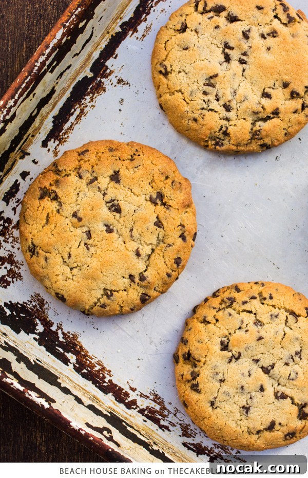 Gluten-Free Chocolate Chip Cookie Recipe You’ll Love 4 Gluten Free Chocolate Chip Cookies | by Lei Shishak author of Beach House Baking | on TheCakeBlog.com