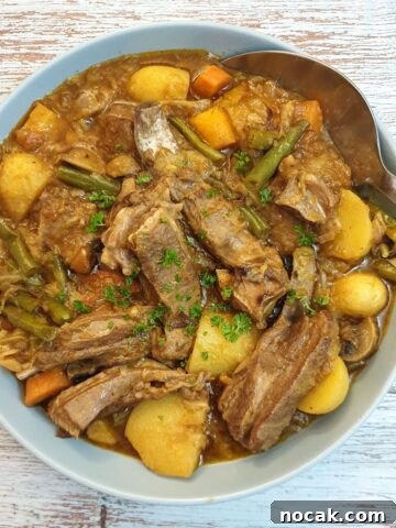 Lamb bredie (lamb stew) in serving bowl.