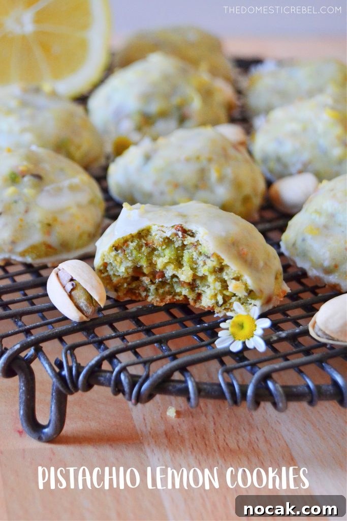 Pistachio Lemon Snowball Cookies Recipe for Zesty, Crunchy Treats 2 pistachio lemon cookie on a black wire rack with a pistachio nut and a little daisy