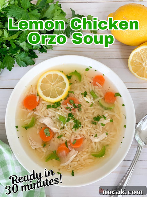 Comforting Lemon Chicken Orzo Soup Recipe 2 Lemon Chicken Orzo Soup, Easy best Chicken soup recipe ideas, best easy light spring summer dinner recipe ideas, best easy soup recipes, 30 minute meals, less than 30 minute soup, best orzo soup pasta chicken meal dinner family friendly for kids
