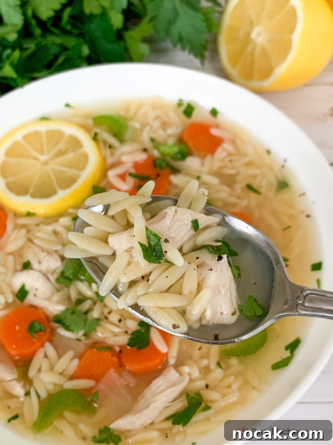 Comforting Lemon Chicken Orzo Soup Recipe 3 Lemon Chicken Orzo Soup, Easy best Chicken soup recipe ideas, best easy light spring summer dinner recipe ideas, best easy soup recipes, 30 minute meals, less than 30 minute soup, best orzo soup pasta chicken meal dinner family friendly for kids