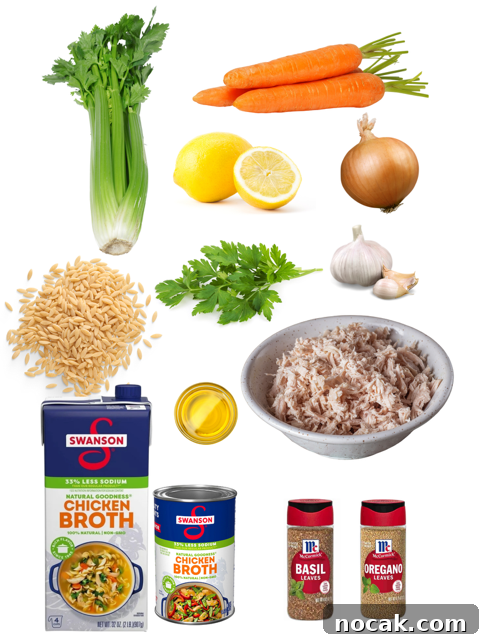 Comforting Lemon Chicken Orzo Soup Recipe 4 img 21853 3