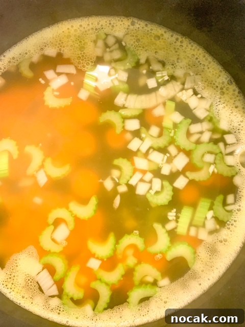 Comforting Lemon Chicken Orzo Soup Recipe 6 img 21853 5