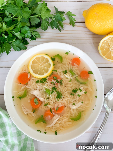 Comforting Lemon Chicken Orzo Soup Recipe 7 Lemon Chicken Orzo Soup, Easy best Chicken soup recipe ideas, best easy light spring summer dinner recipe ideas, best easy soup recipes, 30 minute meals, less than 30 minute soup, best orzo soup pasta chicken meal dinner family friendly for kids