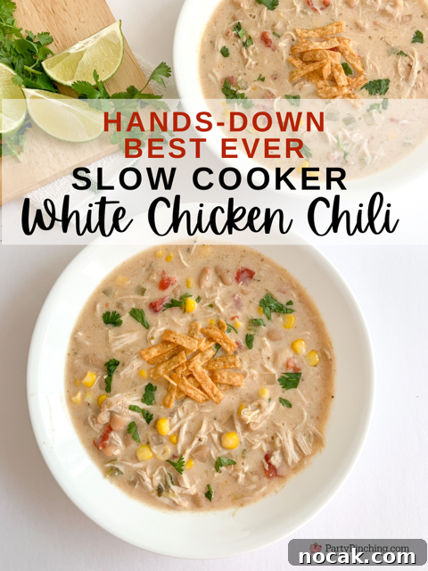 Comforting Lemon Chicken Orzo Soup Recipe 8 slow cooker white chicken chili, best easy crock pot white chicken chili, best easy crock pot slow cooker dinner recipe ideas, crock pot recipes, easy slow cooker chili, hands down best ever slow cooker white chicken chili, big game recipe, game day party recipe, potluck for a crowd recipe, easy game day food