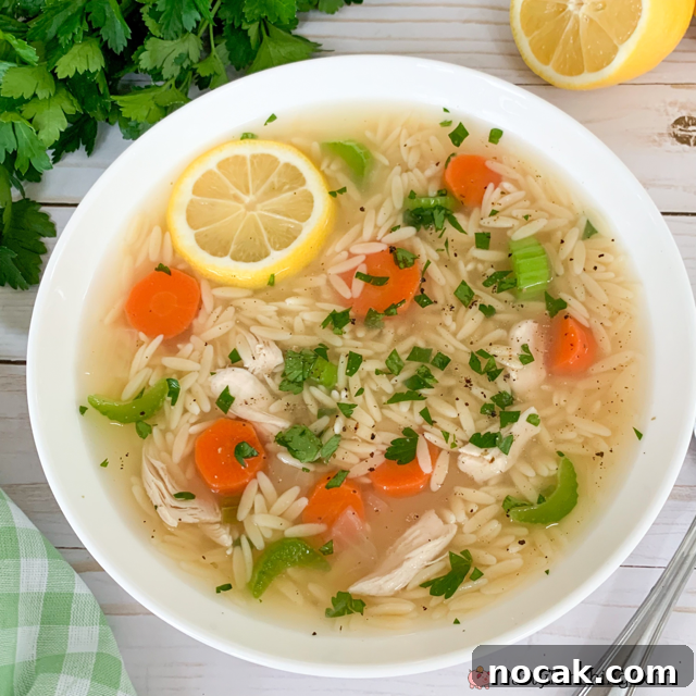 Lemon Chicken Orzo Soup, Easy best Chicken soup recipe ideas, best easy light spring summer dinner recipe ideas, best easy soup recipes, 30 minute meals, less than 30 minute soup, best orzo soup pasta chicken meal dinner family friendly for kids