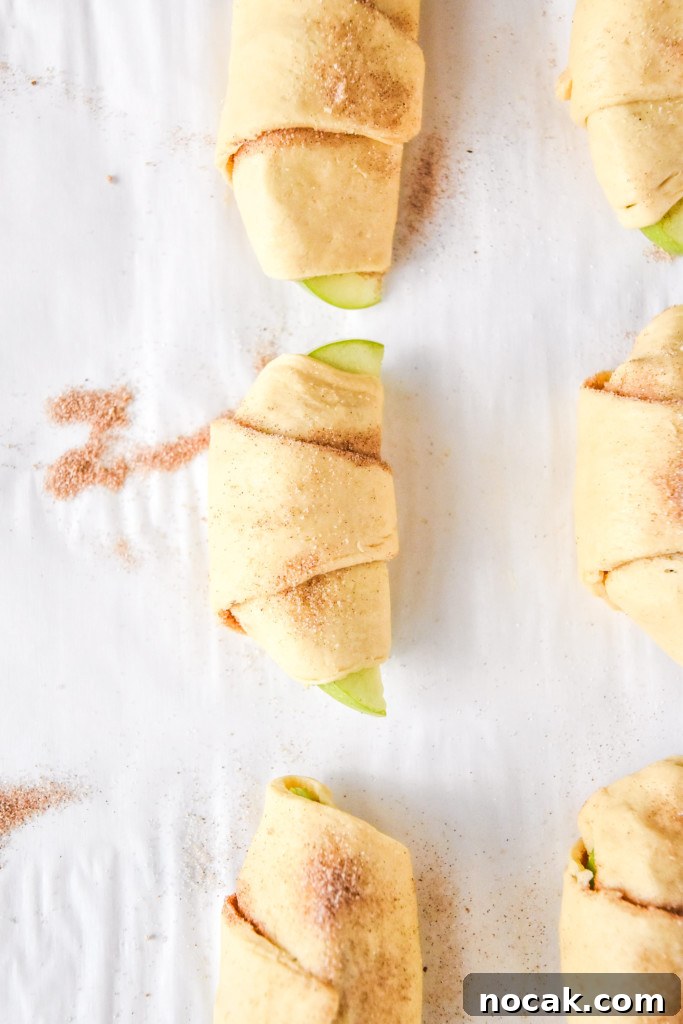 Air Fryer Apple Pie Crescent Rolls Recipe 8 rolled up apple pie crescent rolls before air frying.