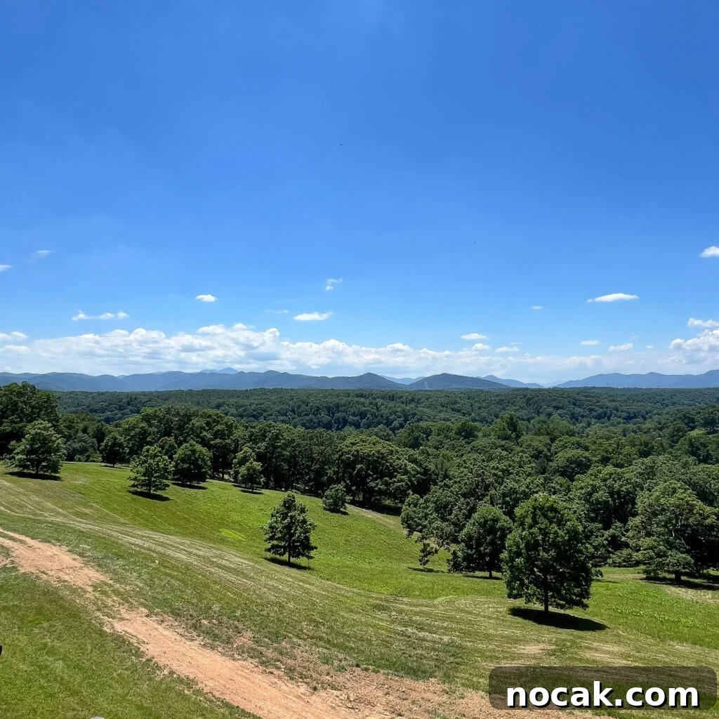 A romantic, scenic landscape with rolling green hills, scattered trees, and a clear blue sky with a few clouds. Distant mountains line the horizon under bright sunlight.