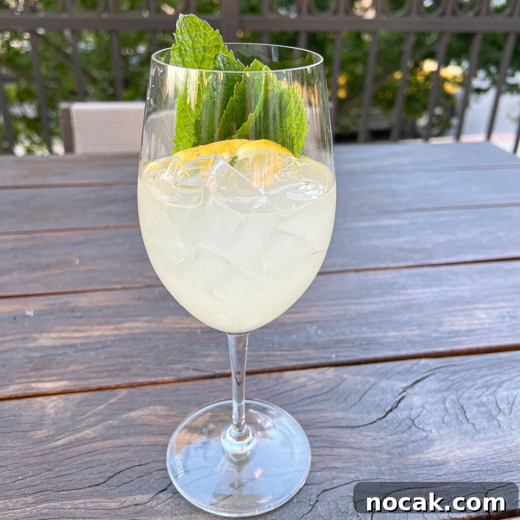 A romantic glass of iced lemonade, garnished with fresh mint leaves and a lemon slice, sits on a wooden outdoor table against a leafy backdrop and metal railing.