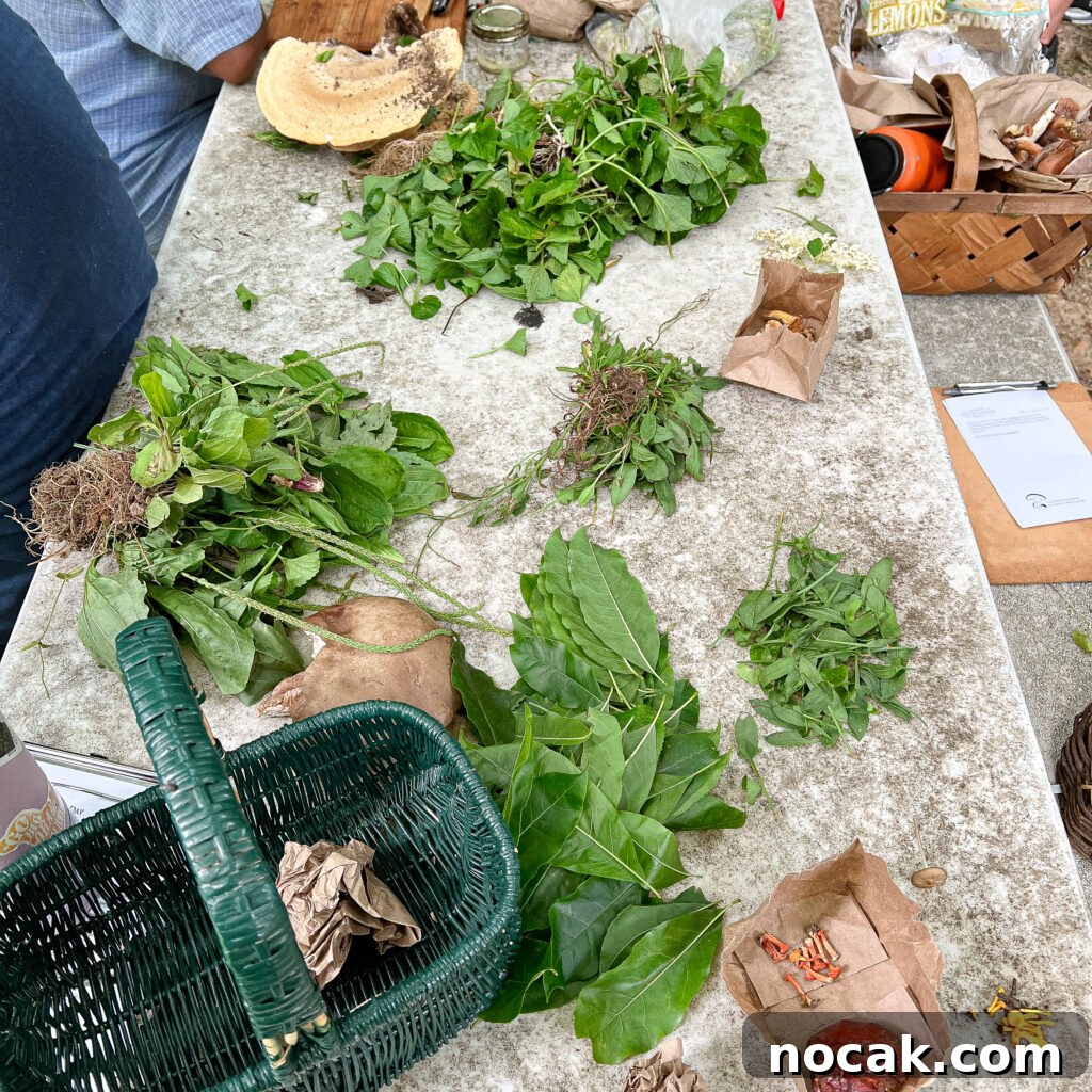A table covered with fresh green herbs and plants.