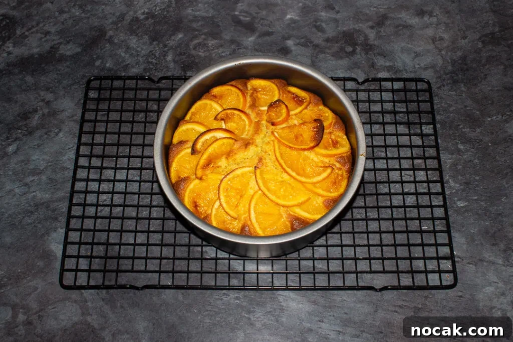 Sticky Orange Glaze Cake Recipe with Zesty Citrus Flavor 16 Baked sticky orange cake in a round baking tin on a cooling rack on a kitchen worktop.
