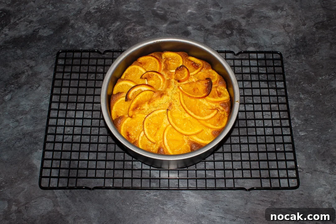 Sticky Orange Glaze Cake Recipe with Zesty Citrus Flavor 30 Baked sticky orange cake in a round baking tin on a cooling rack on a kitchen worktop.