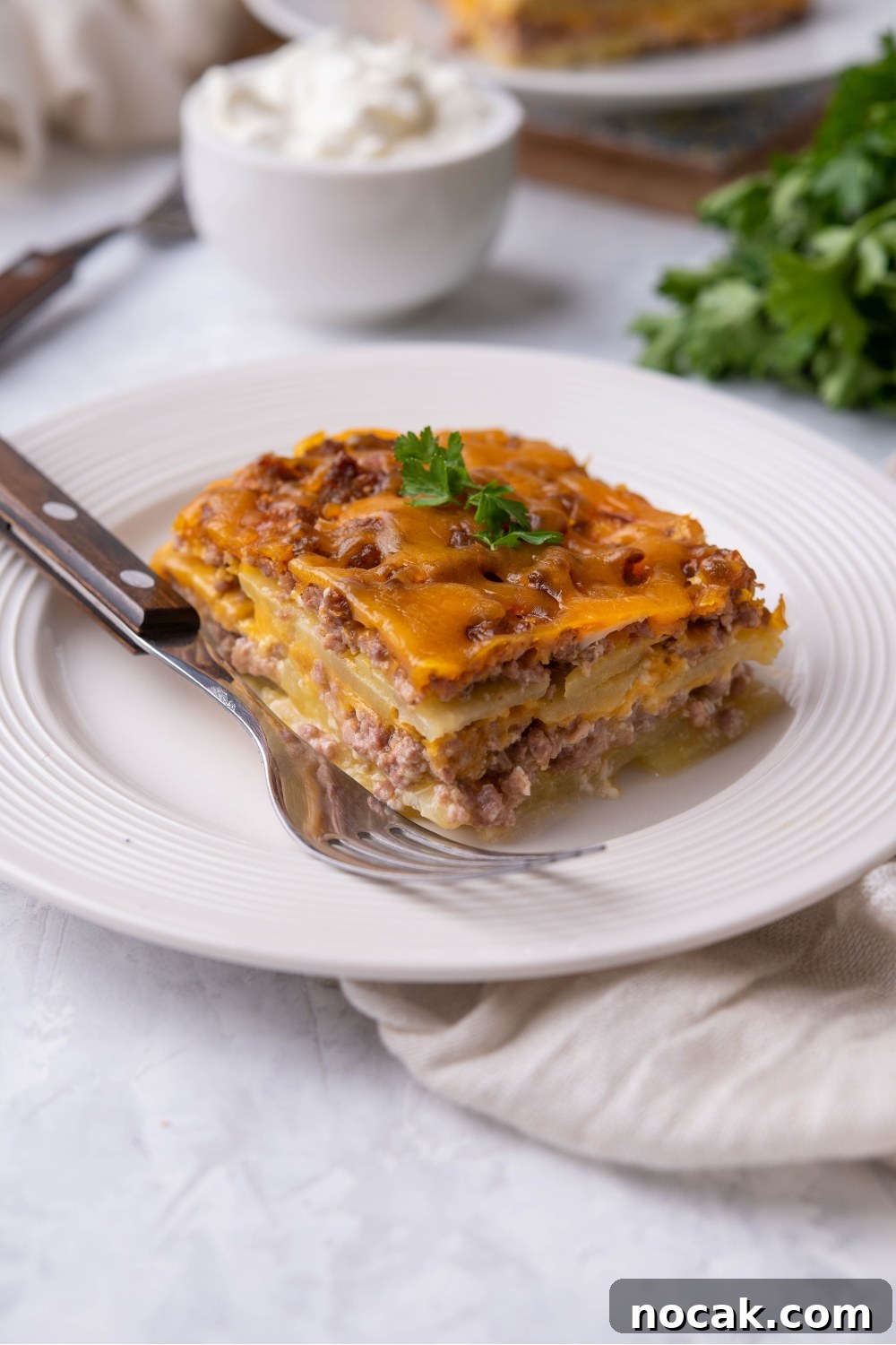Hearty Hamburger and Potato Casserole with Canned Soup 2 Single serving of hamburger potato casserole on a white plate with a fork on the plate.