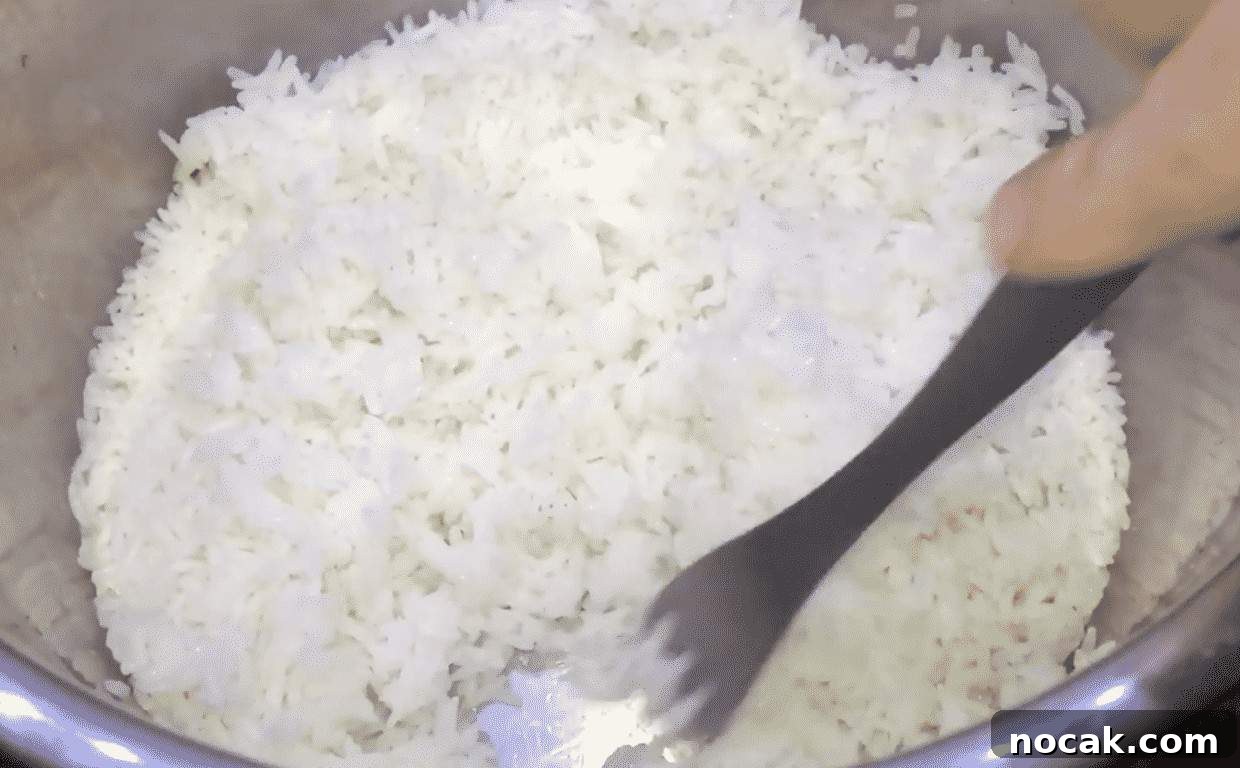 Instant Pot Hibachi-Style Fried Rice Recipe 7 img 23842 12