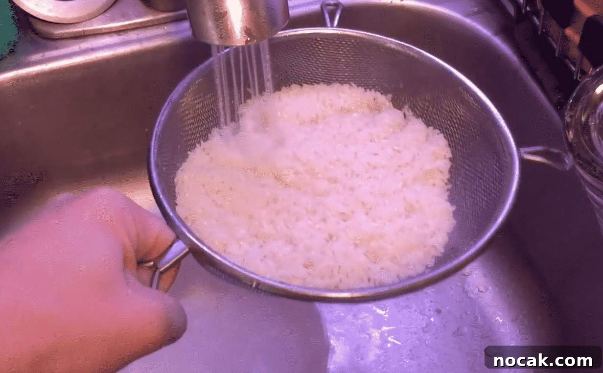 Instant Pot Hibachi-Style Fried Rice Recipe 3 img 23842 2