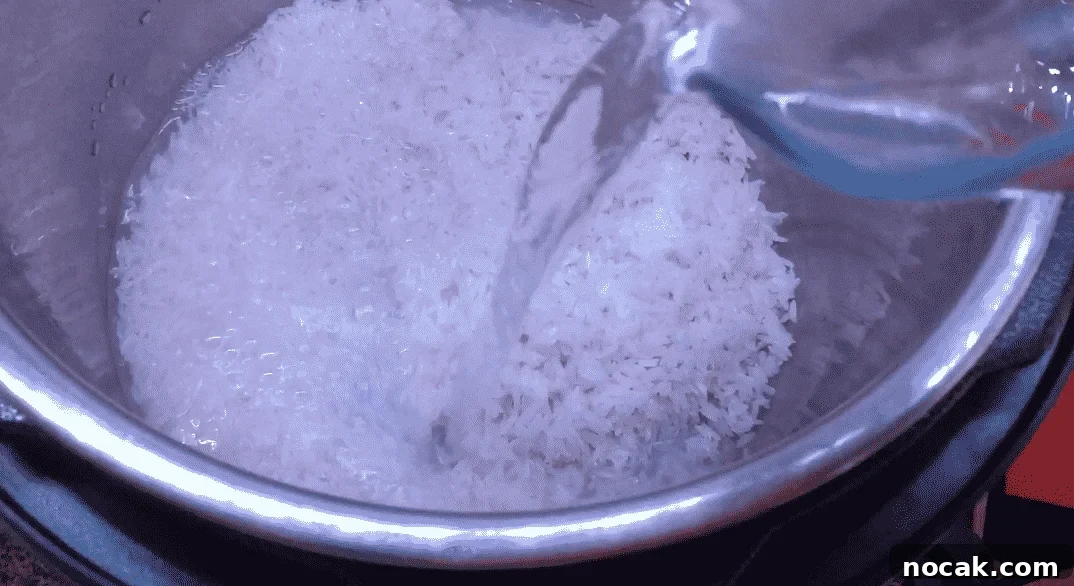 Instant Pot Hibachi-Style Fried Rice Recipe 4 img 23842 3 1