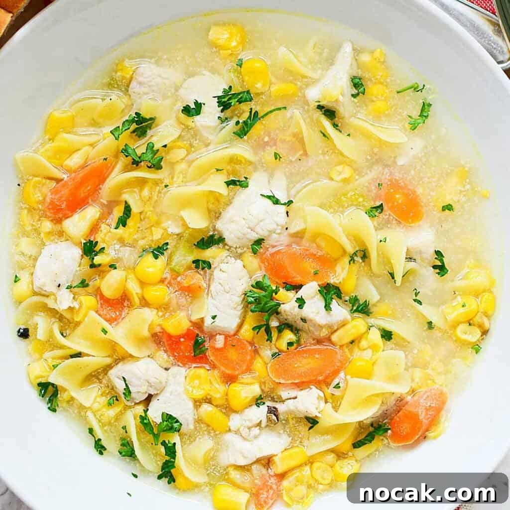 Comforting Chicken and Corn Noodle Soup Recipe 6 overhead view of chicken corn noodle soup in white bowl