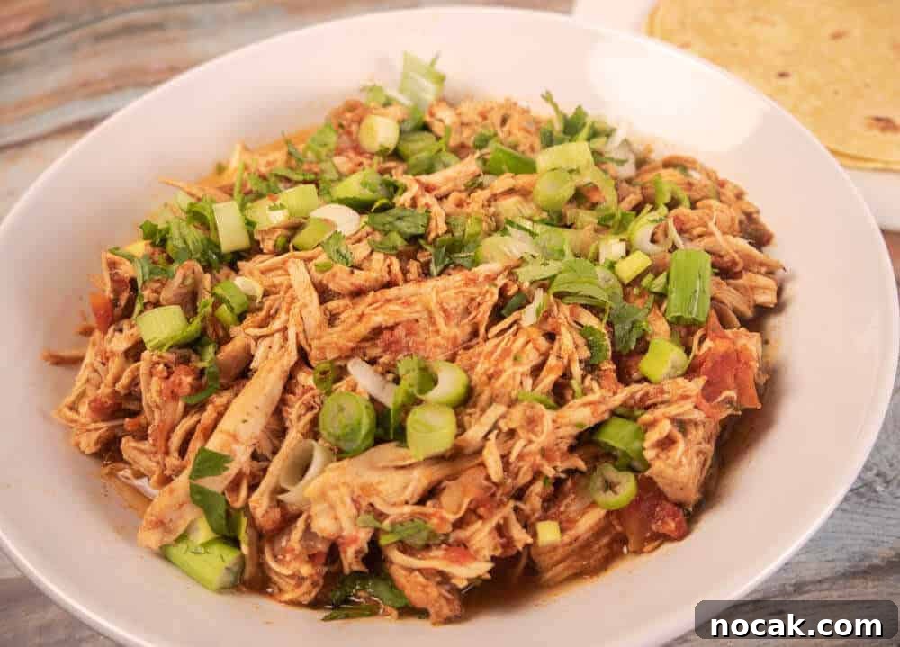 Instant Pot Shredded Salsa Chicken Recipe 3 Salsa Chicken Closeup
