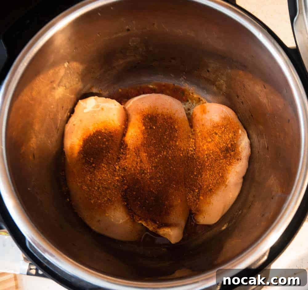 Instant Pot Shredded Salsa Chicken Recipe 4 seasoned salsa chicken in the instant pot