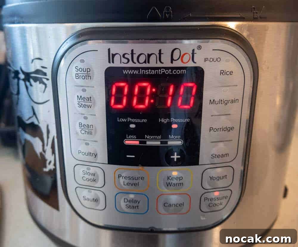 Instant Pot Shredded Salsa Chicken Recipe 6 Instant Pot cooking time 10 minutes