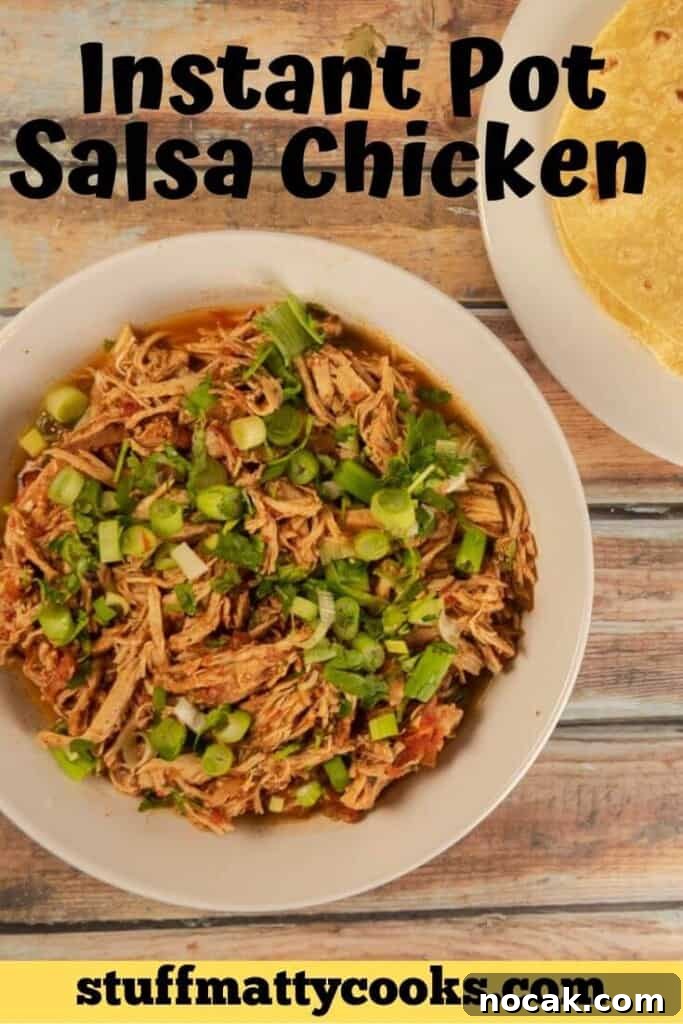 Instant Pot Shredded Salsa Chicken Recipe 10 Instant Pot Salsa Chicken Pin