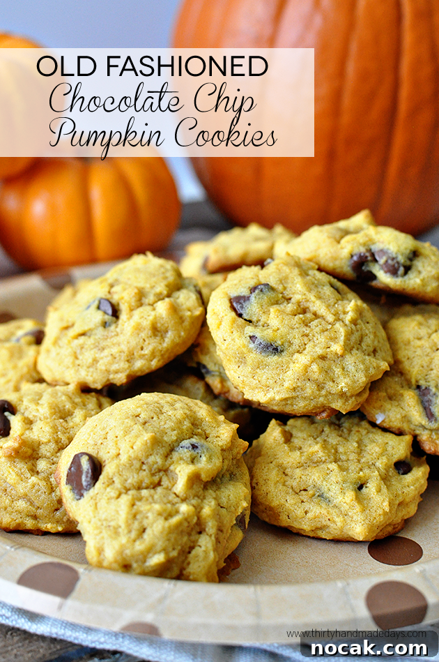 Old Fashioned Chocolate Chip Pumpkin Cookies - my favorite! Perfect for fall. www.thirtyhandmadedays.com