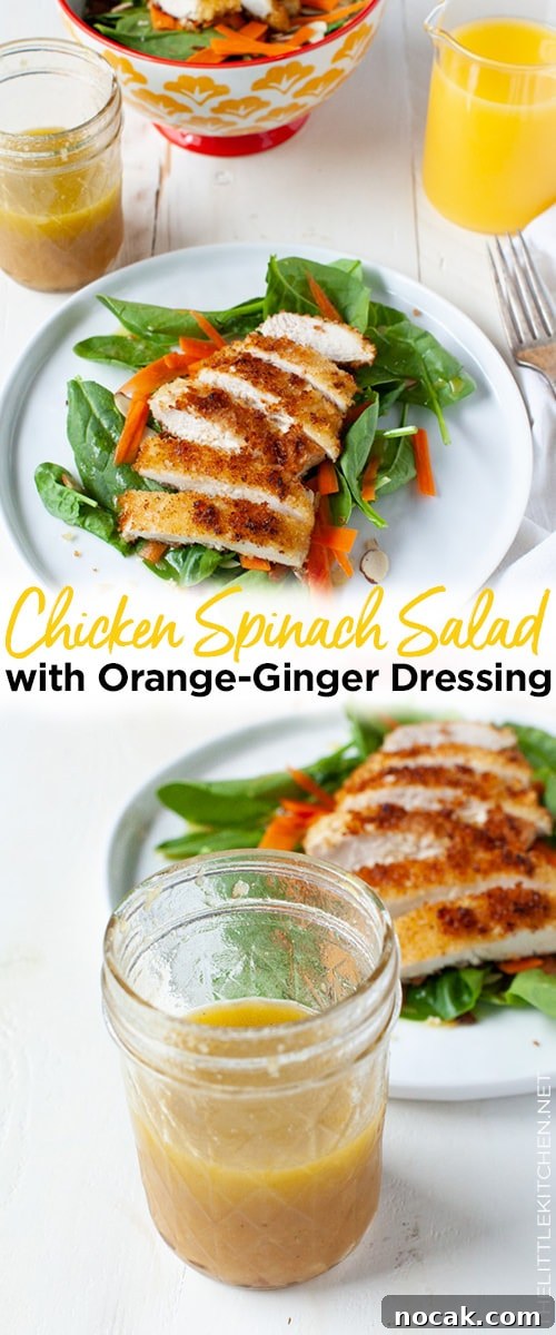 Chicken Spinach Salad with Orange-Ginger Dressing from thelittlekitchen.net Chicken Spinach Salad with Orange-Ginger Dressing from thelittlekitchen.net