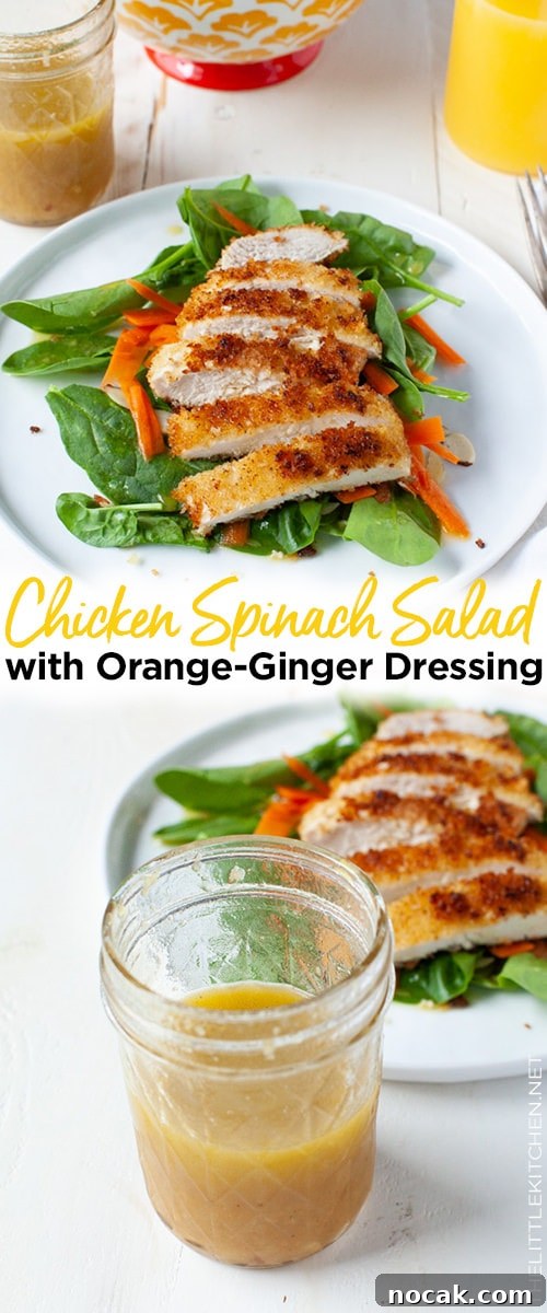 Chicken Spinach Salad with Orange-Ginger Dressing from thelittlekitchen.net Chicken Spinach Salad with Orange-Ginger Dressing from thelittlekitchen.net