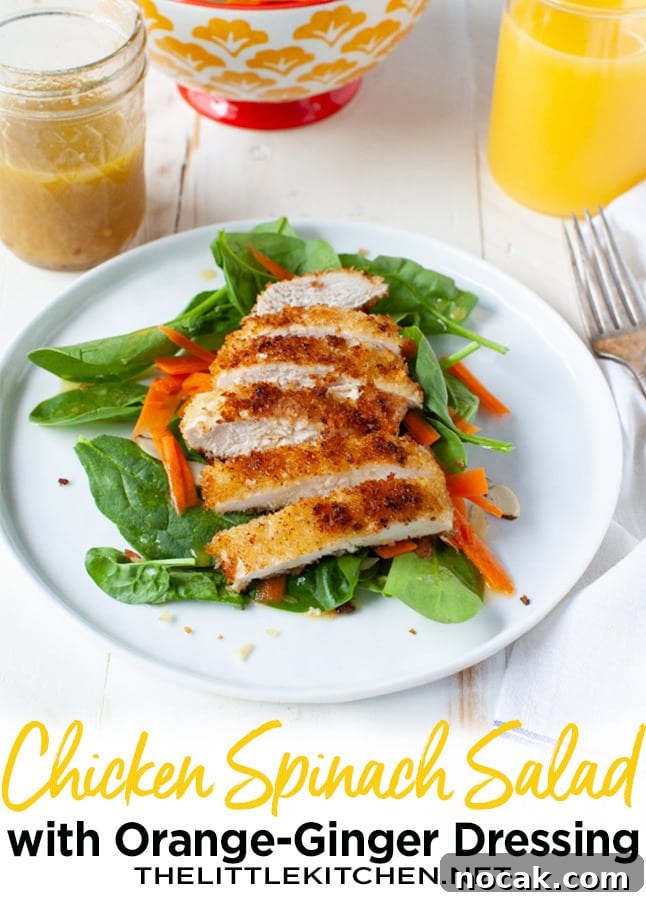 Chicken Spinach Salad with Orange-Ginger Dressing from thelittlekitchen.net Chicken Spinach Salad with Orange-Ginger Dressing from thelittlekitchen.net