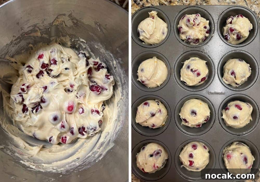 Cranberry Orange Muffins Made with Cake Mix 7 two photos; one shows cranberries folded into muffin batter; the other shows the muffin batter divided among wells in a muffin pan.